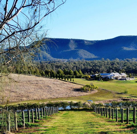 Grapevines Boutique Accommodation - Mackay Tourism 5