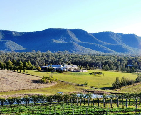Grapevines Boutique Accommodation - Mackay Tourism 0