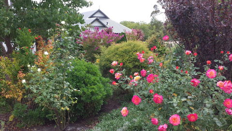 Glenelg On King Bed & Breakfast - Mackay Tourism 15