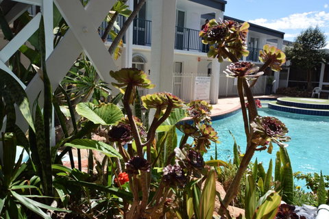 West Beach Lagoon 220 Stylish And Cozy - Mackay Tourism 18
