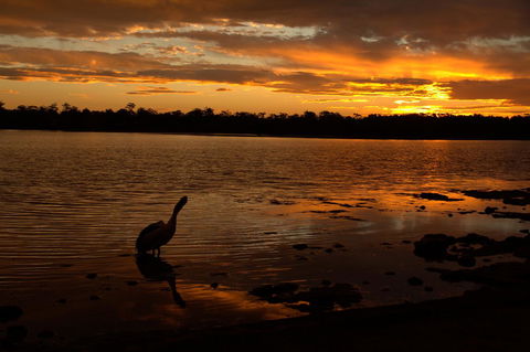 Dungowan Holiday Accommodation - Mackay Tourism 31
