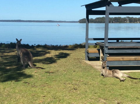 Dungowan Holiday Accommodation - Mackay Tourism 33