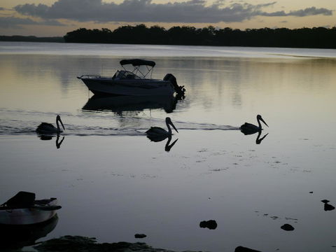 Dungowan Holiday Accommodation - Mackay Tourism 41