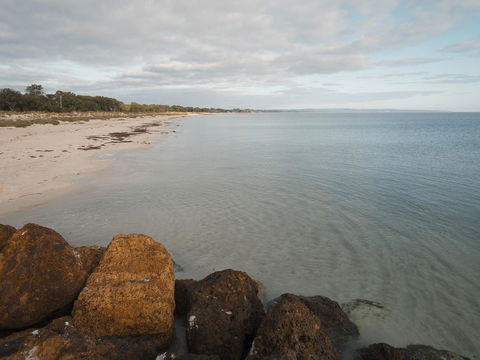 FortyOne - Oceanside Retreat Busselton - Mackay Tourism 1
