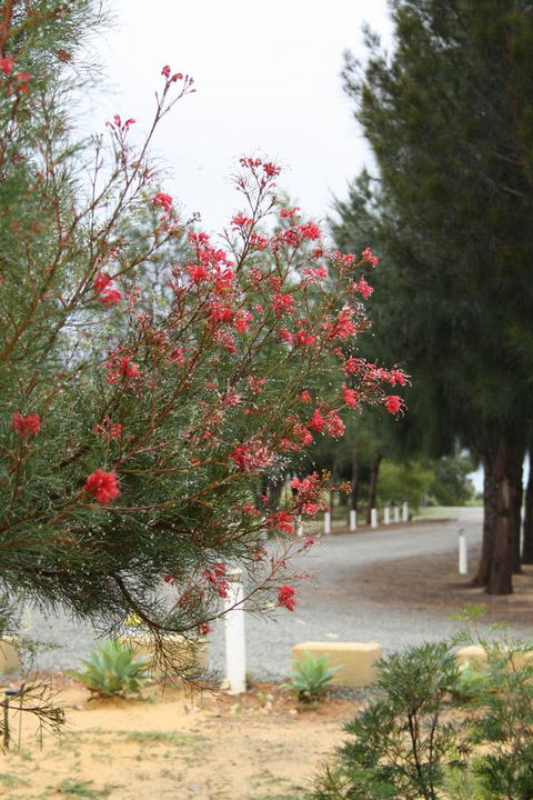 The Heights Bed & Breakfast - Mackay Tourism 0