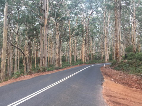 Bella Bali Gardens - Mackay Tourism 29