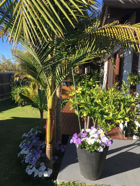 Bella Bali Gardens - Mackay Tourism 23