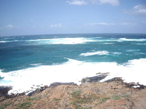 Bella Bali Gardens - Mackay Tourism 30