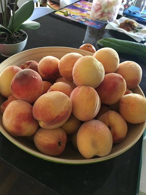 Bella Bali Gardens - Mackay Tourism 27