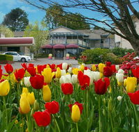 Nesuto Leura Gardens formerly Waldorf Leura Gardens Resort - Mackay Tourism
