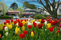 Book Leura Accommodation Vacations Mackay Tourism Mackay Tourism