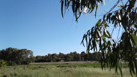 Junee Motor Inn - Mackay Tourism 8