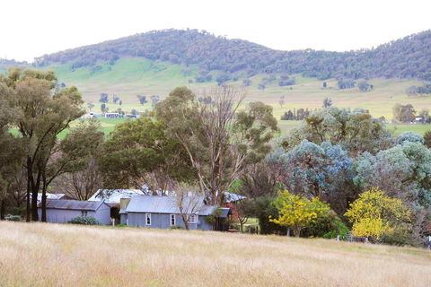 Stay In Mudgee The Grove, The Church, And Premium Private Homestead - Mackay Tourism 38