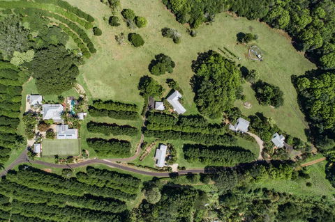 Byron Hinterland Villas - Mackay Tourism 17