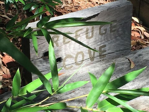 Refuge Cove On Pittwater - Mackay Tourism 12