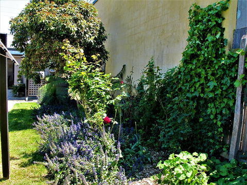 Apple Tree Cottage - Mackay Tourism 24