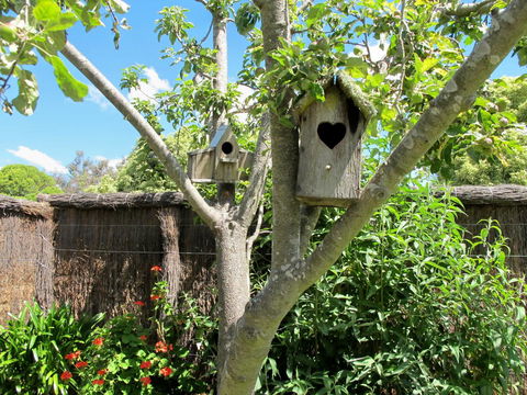 Apple Tree Cottage - Mackay Tourism 28