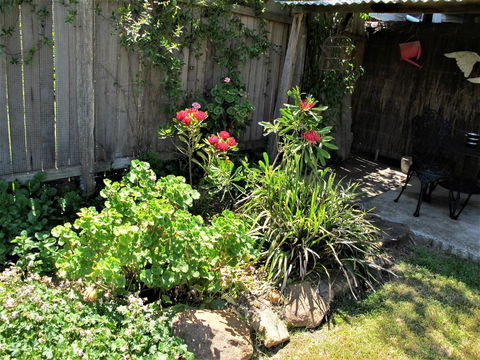 Apple Tree Cottage - Mackay Tourism 26