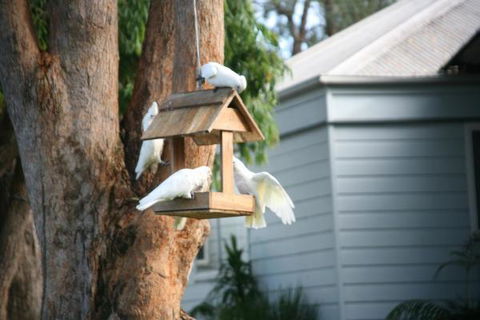 Huskisson Holiday Motel Cabins - Mackay Tourism 29