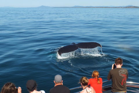 Pacific Marina Apartments - Mackay Tourism 34