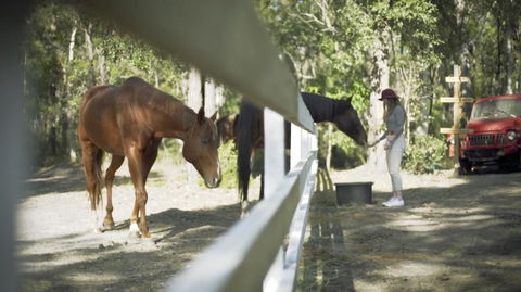 The Woods Farm Jervis Bay - Mackay Tourism 13