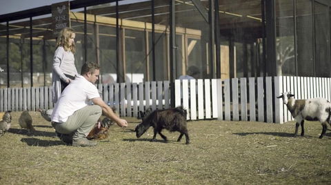 The Woods Farm Jervis Bay - Mackay Tourism 14