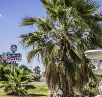Allonville Gardens Motel - Mackay Tourism