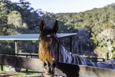 The Outlook Cabana - Mackay Tourism 19