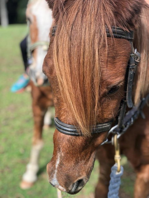 The Outlook Cabana - Mackay Tourism 17
