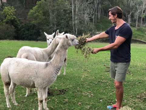 The Outlook Cabana - Mackay Tourism 20