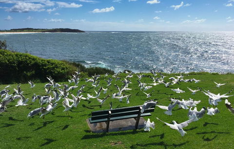 Waterview Beach Apartment - Mackay Tourism 25