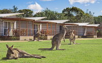 Book Pambula Beach Accommodation Vacations Mackay Tourism Mackay Tourism