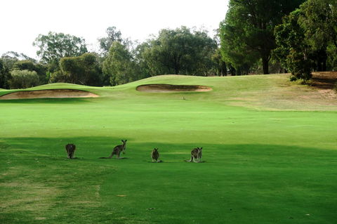 Mulwala Resort - Mackay Tourism 40