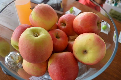 The Apple Inn - Mackay Tourism 12