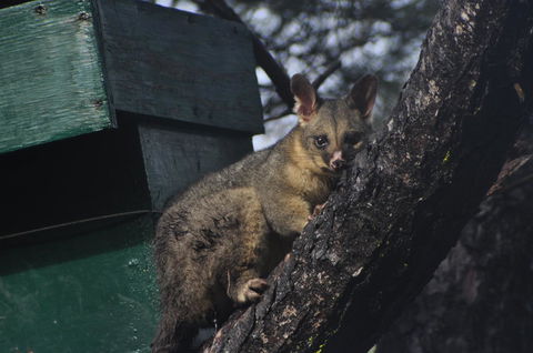 By The Beach B&B Self Contained Apartments - Mackay Tourism 20