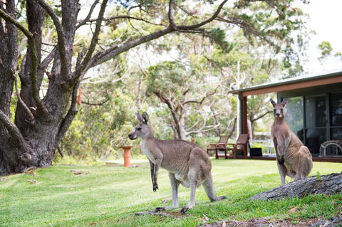 By The Beach B&B Self Contained Apartments - Mackay Tourism 17