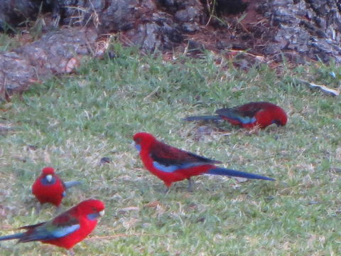 By The Beach B&B Self Contained Apartments - Mackay Tourism 22