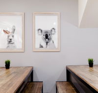 Mad Monkey Backpackers on Broadway - Mackay Tourism