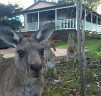 Bush  Bay Cottage - Mackay Tourism