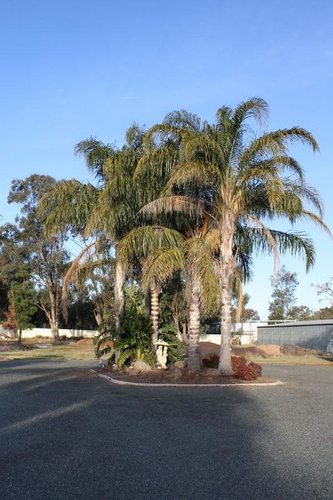 Temora Motel - Mackay Tourism 6