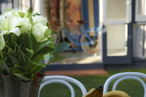 Jet Flamingo - Mackay Tourism 17