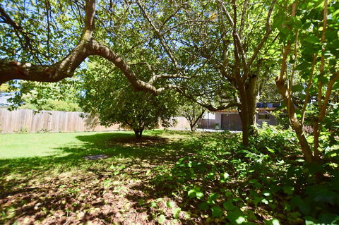 Wildlife Lodge Katoomba - Mackay Tourism 26