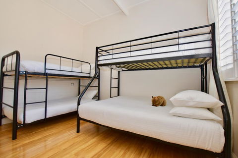 Wildlife Lodge Katoomba - Mackay Tourism 7