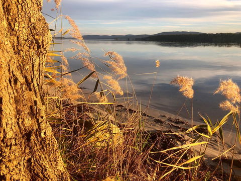 Lakeview Cottage - Mackay Tourism 14