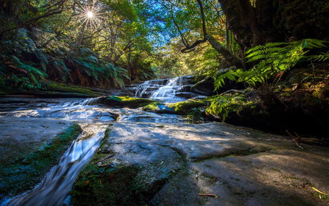 Sky Rider Motor Inn - Mackay Tourism 6