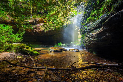 Sky Rider Motor Inn - Mackay Tourism 23