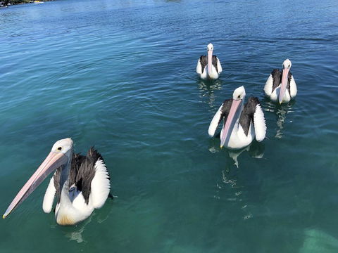 Aquarius 9 - Mackay Tourism 4