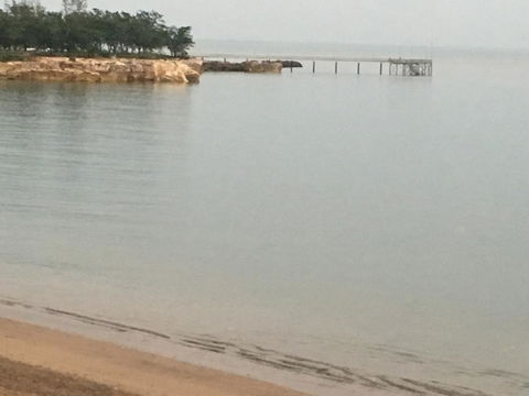 Nightcliff Foreshore Getaway - McKay Gardens - Mackay Tourism 27