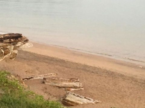Nightcliff Foreshore Getaway - McKay Gardens - Mackay Tourism 28
