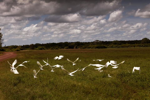 Wildman Wilderness Lodge - Mackay Tourism 20